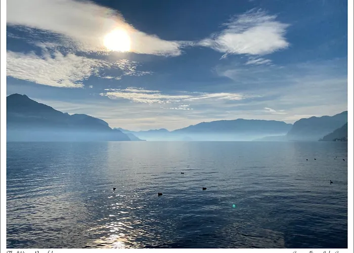 Casa Alice Con Bellissimo Giardino E Bbq