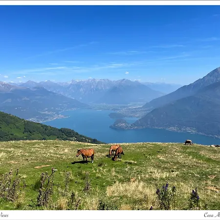 Casa Alice Con Bellissimo Giardino E Bbq *