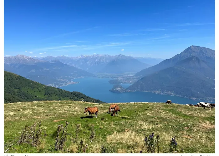 Casa Alice Con Bellissimo Giardino E Bbq *